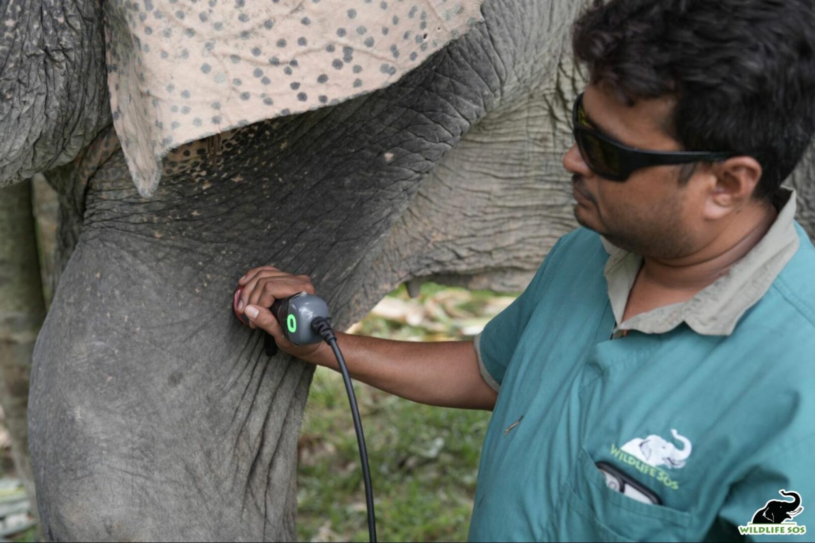 Dr. Pramod conducting ultrasound