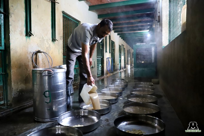 The bear caregivers feed the bears and monitor their health. [Photo (c) Wildlife SOS/Shresatha Pachori]