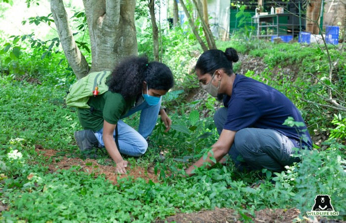 Among the plants were jackfruit, tamarind and jamun. 