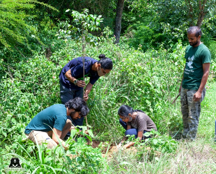 The group planted some native plants at Bannerghatta Bear Rescue Centre. 