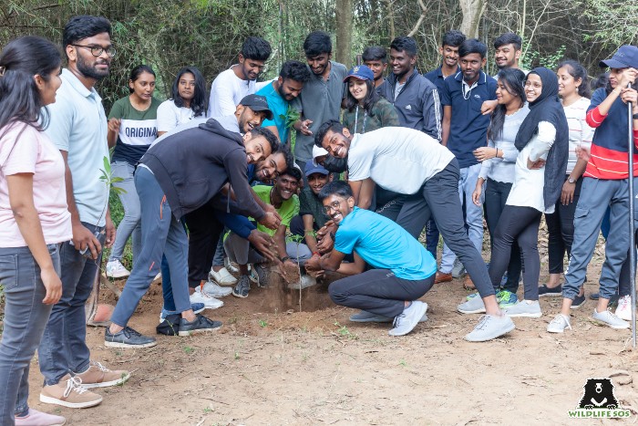 AMC College students volunteering for plantation drive