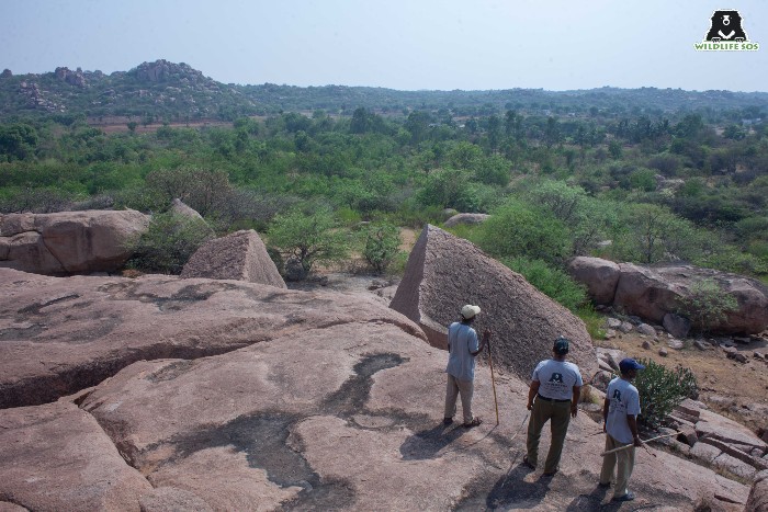 As part of the Wildlife SOS habitat restoration project, local members of the community became guardians of the land.