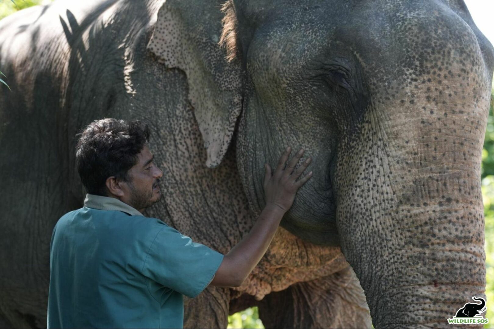 Dr. Pramod treating