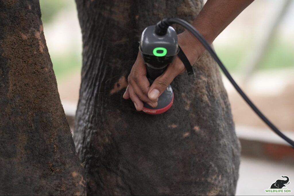 Raju's treatment and checkup
