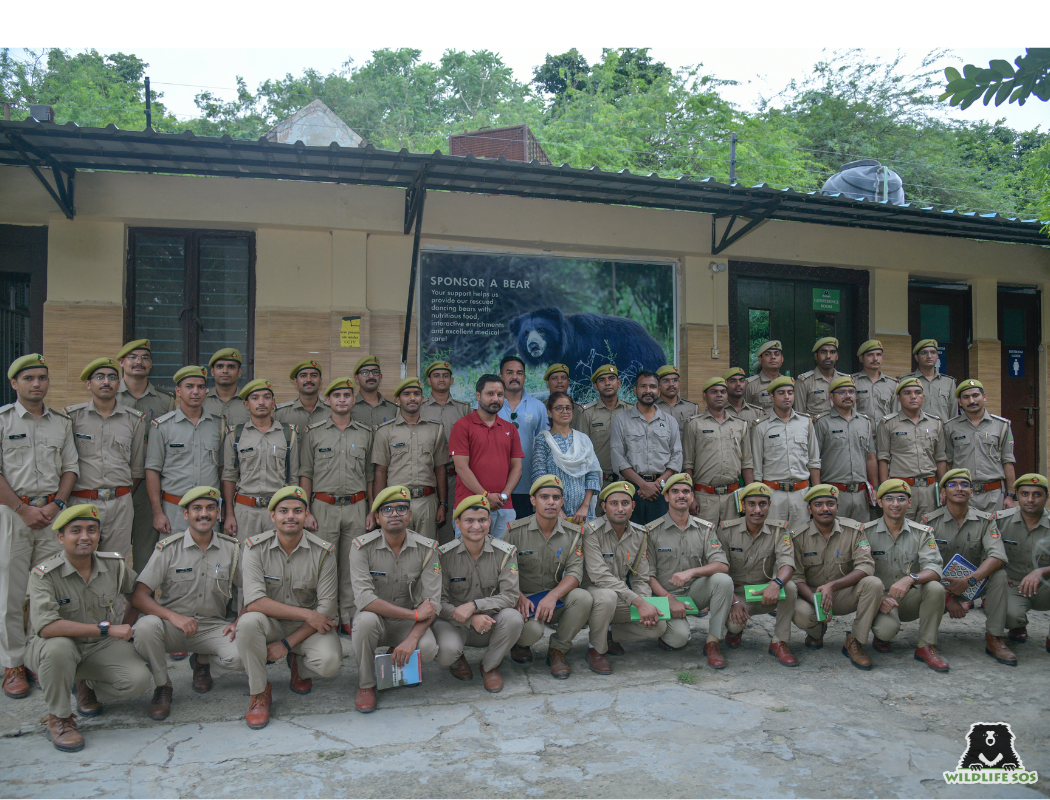 Human-wildlife conflict