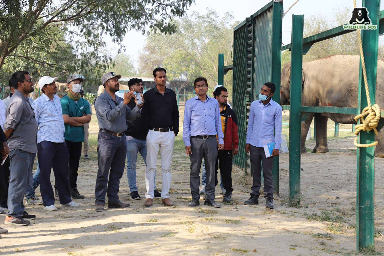 Tiger Community Keeping Up With The Tigers: Social Ties - Wildlife SOS