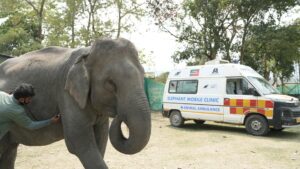 Haathi Sewa Case Studies: Monimala