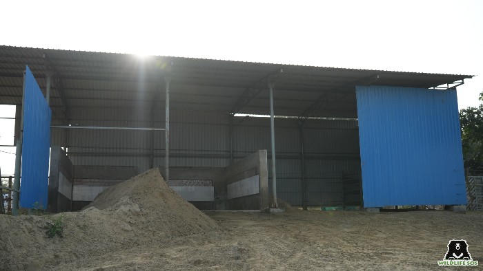 At Wildlife SOS centres our animal enclosures, are covered to protect them from the cold. In image elephant enclosure
