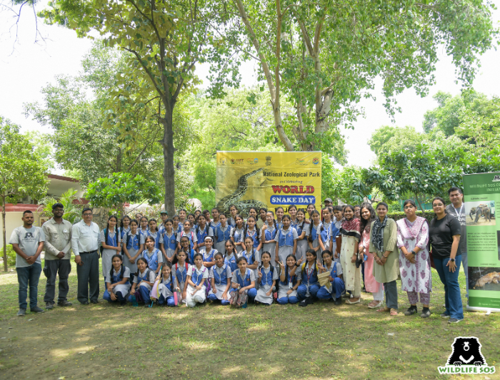 Snake Day Awareness Programme