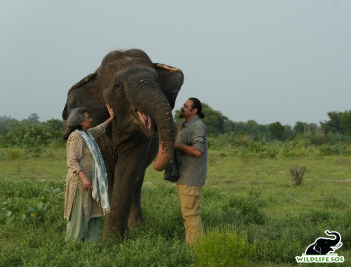 Kartick and Geeta with elehant
