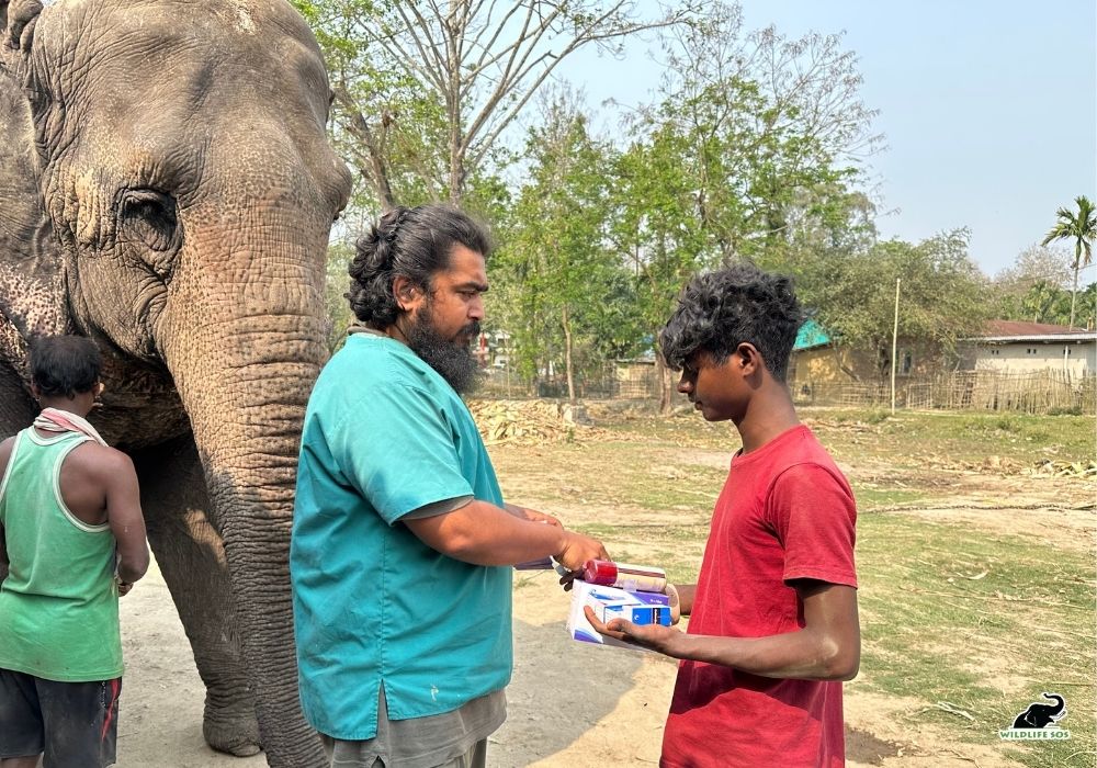 Haathi Sewa Meghalaya Assam 2