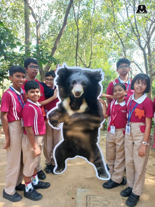 Students from Vibgyor Golden Bee School visited the Bannerghatta Bear Rescue Centre. [Photo (c) Wildlife SOS]
