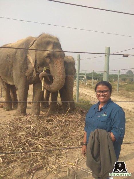 Puja at the Wildlife SOS Elephant centre