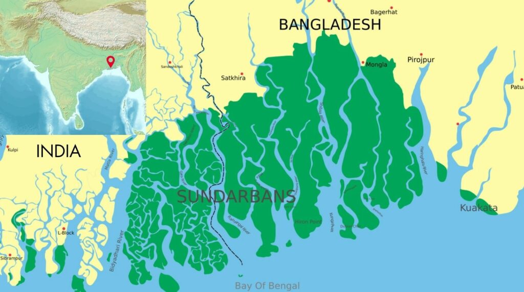 Tigers Of The Tides, Guardians Of The Sundarbans 1