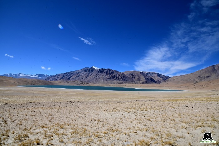 Climate change, improper waste management and tourism have put immense pressure on the dwindling water resources in Ladakh