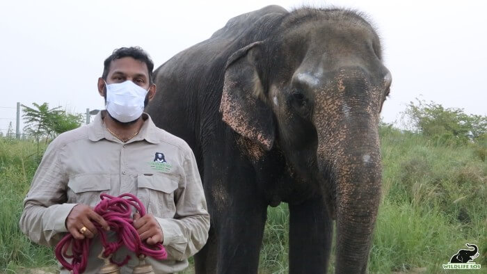 Dr. Arun with Nina's bells, while she munches on some fresh green grass!