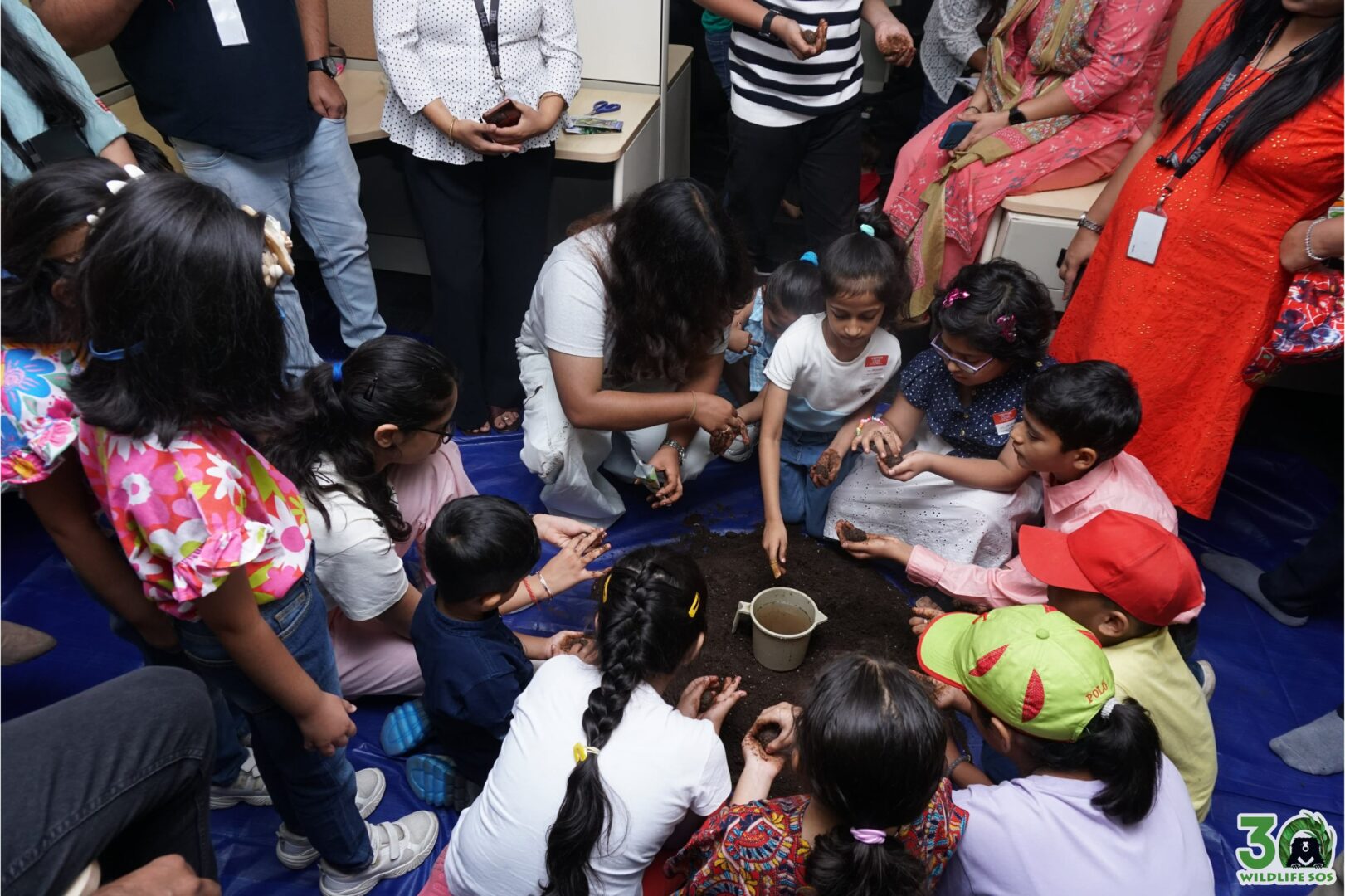 Seed ball making