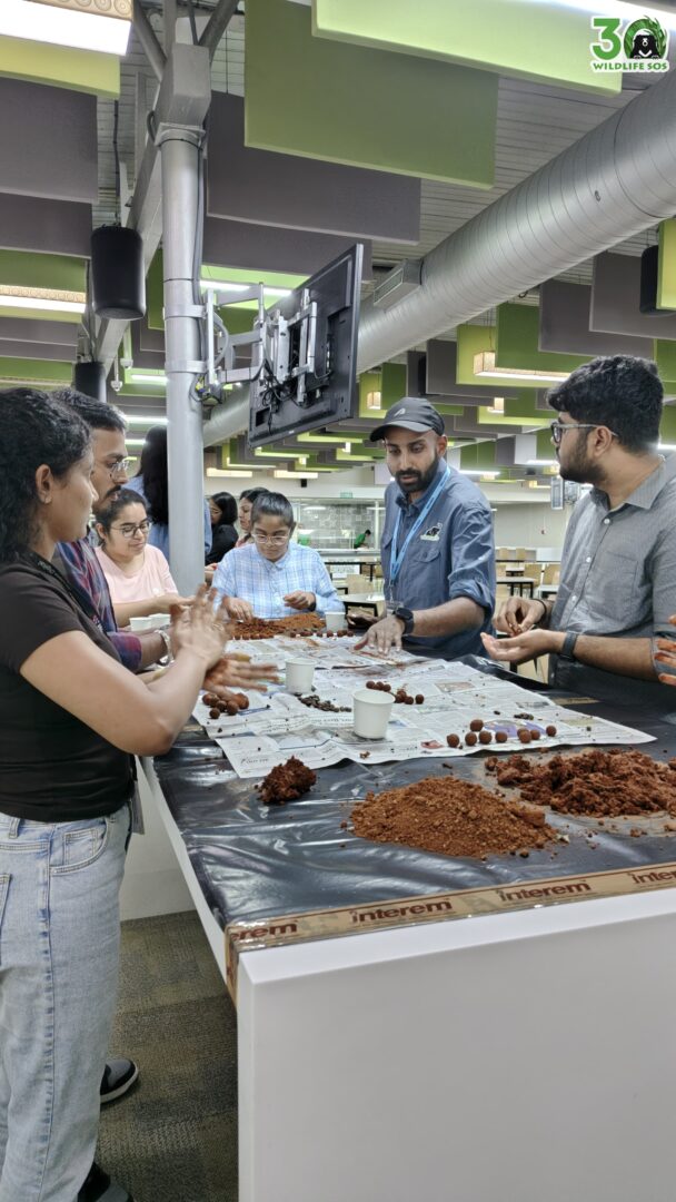Seed ball making
