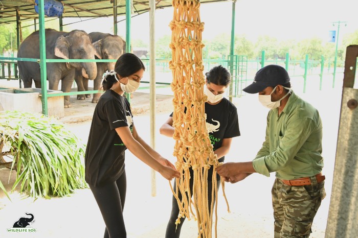 You can volunteer with us to have an exciting time at ECCC. [Photo (c) Wildlife SOS/Suryoday Singh Mann]