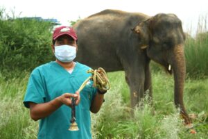 Trunk Tales: Eldest Elegant Elephant, Ella