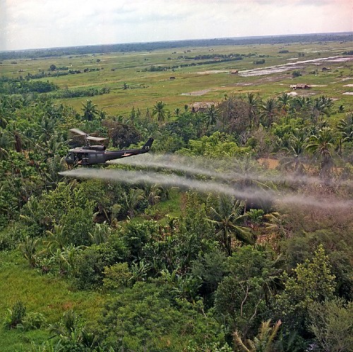 Environmental impact of war