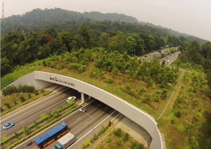 The Eco-Bridge at Singapore has significantly contributed to reduced roadkills.