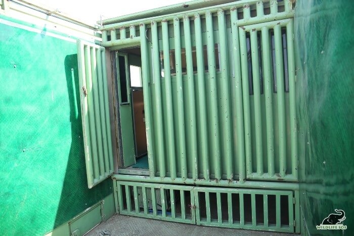 The protected contact wall allows safe interaction between elephant and the veterinary team.