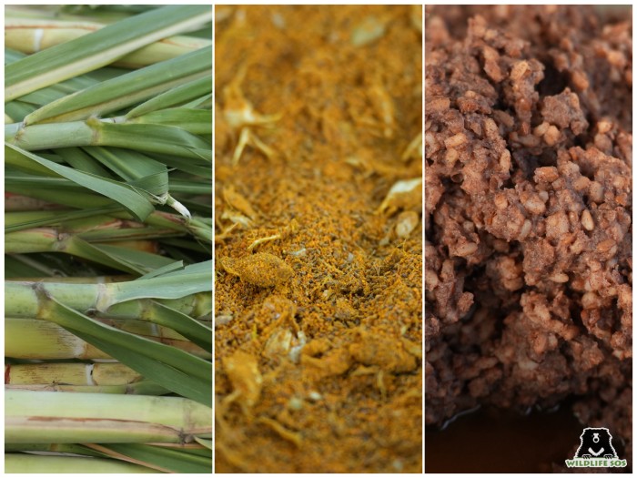 Our animals are provided with specialised diet to combat the cold. In image elephant feed