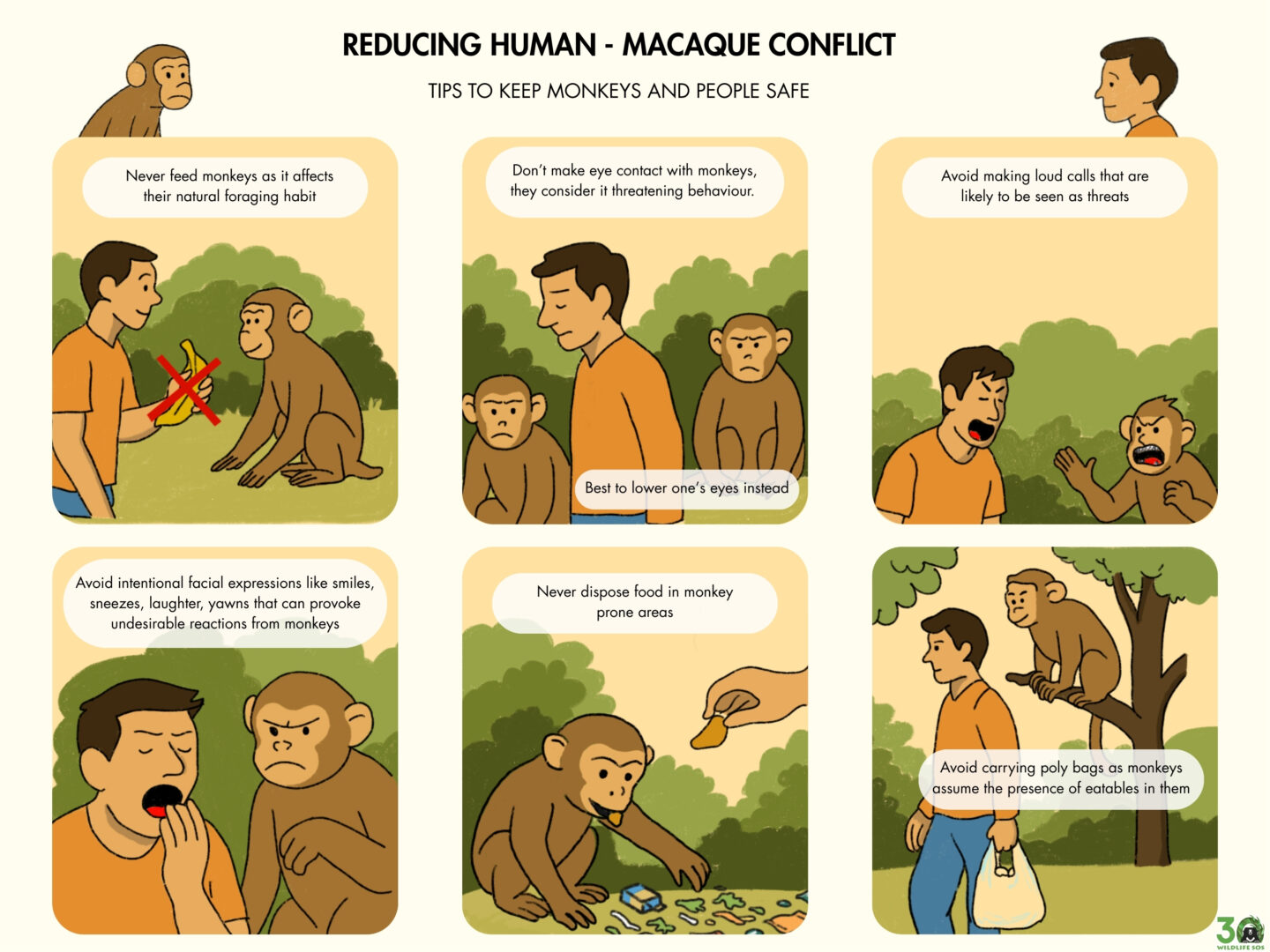 Illustration of Human - macaque conflict