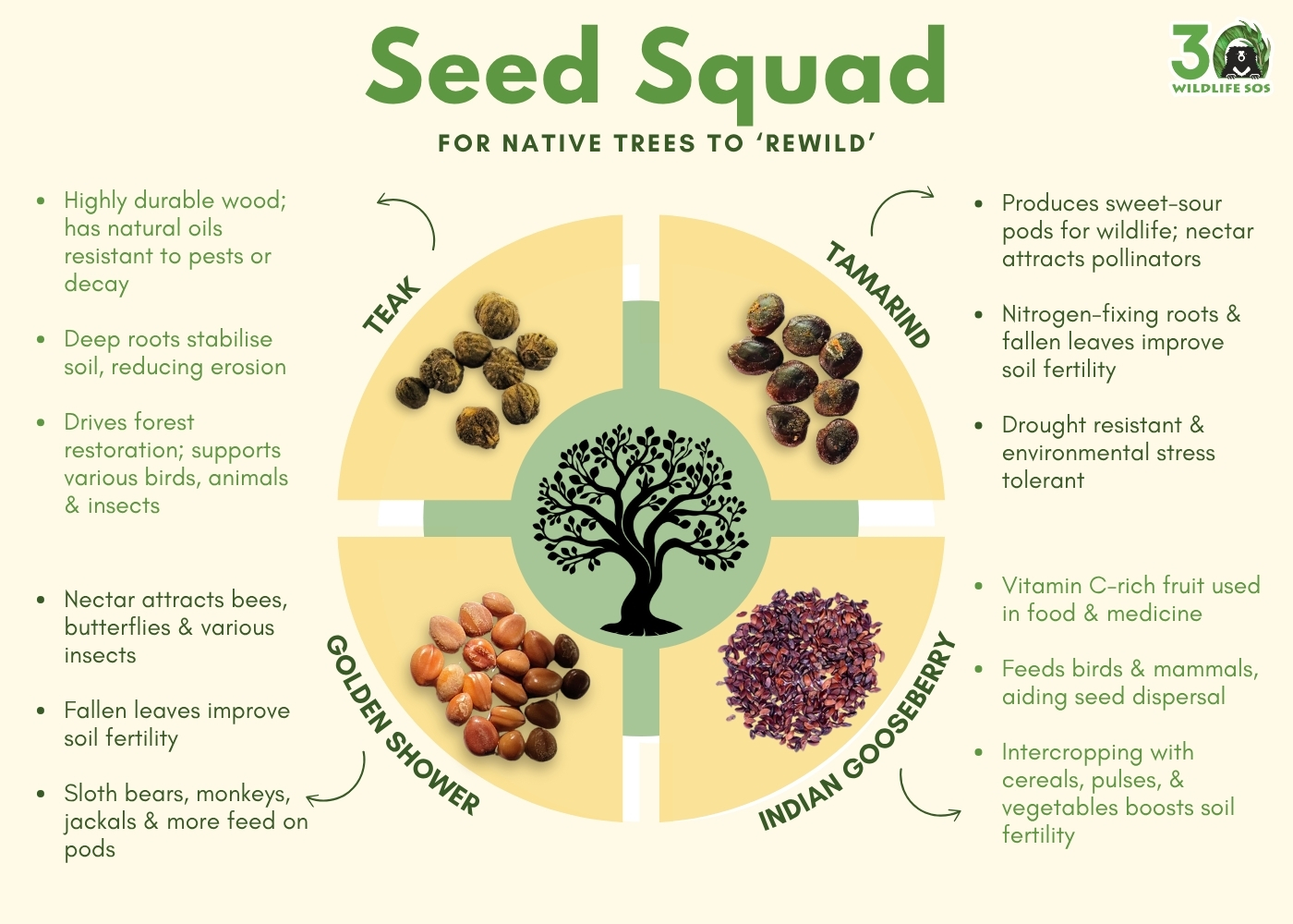 Seeds