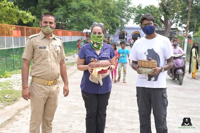 Hats off to our dedicated rescue team and the Uttar Pradesh Forest Department for saving the snakes