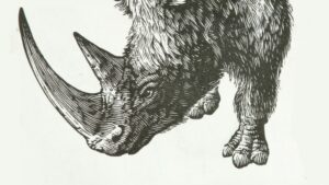 Extinction vs. De-extinction: A Dangerous Gamble