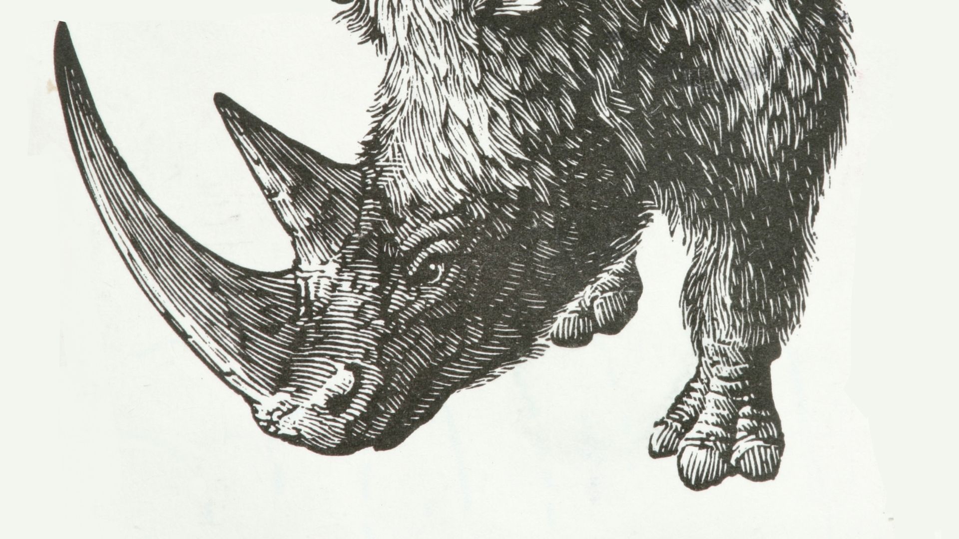 Extinction vs. De-extinction: A Dangerous Gamble