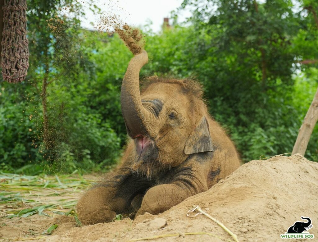 Bani playing with mud