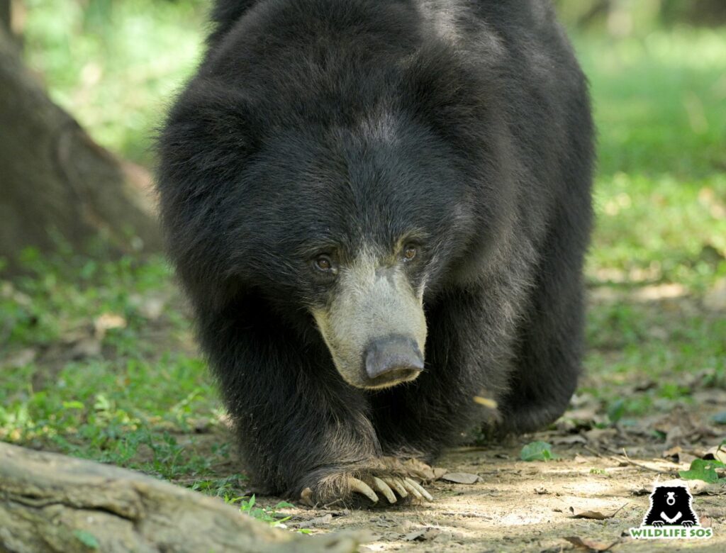 Digit at ABRF
