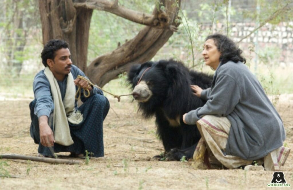 Geeta Seshamani during the Dancing Bear Project
