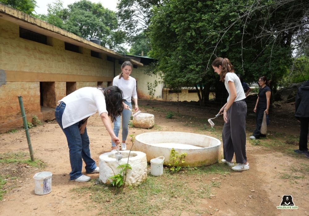 250702_BBRC_HEMANT_INFOSYS_VOLUNTEERS.JPG27 Image 2