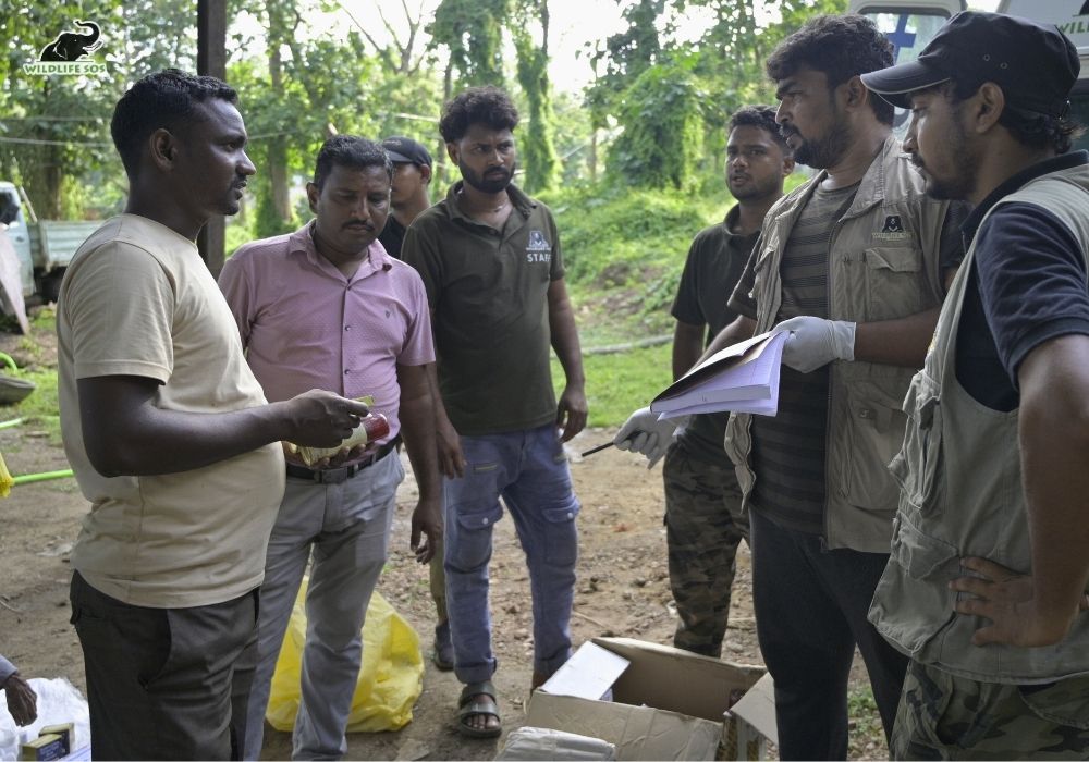 250816_JHARKHAND_ATHARVA PACHARNE_ELEPHANT_RAKHI_HEALTH ASSESMENT_HAATI SEVA_223_Image 1