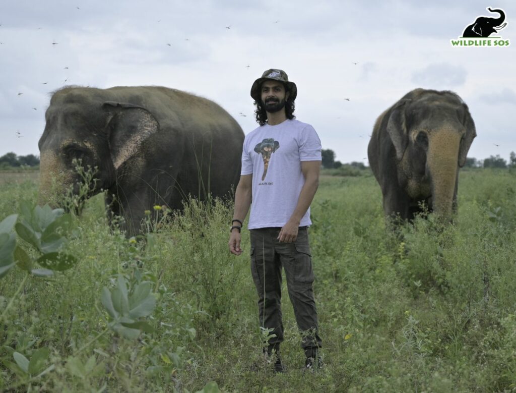 Actor Ashmit Patel visit Wildlife SOS