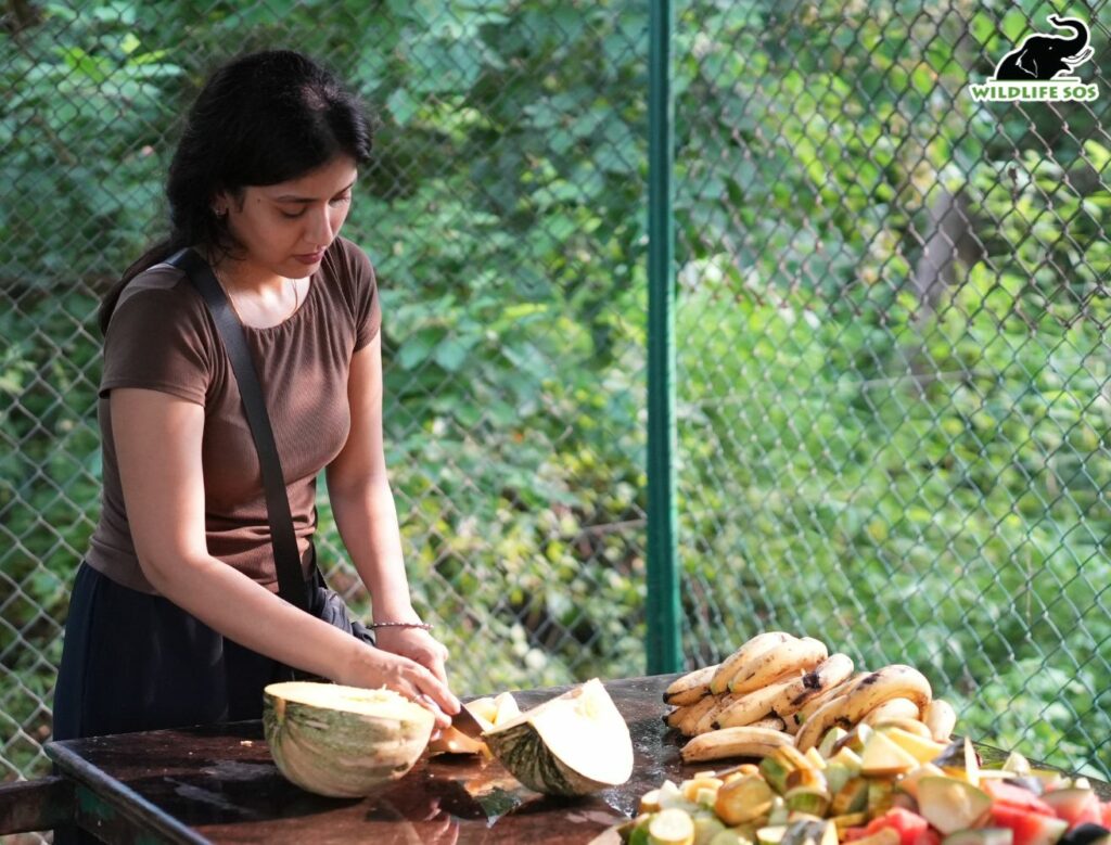 Sainee Raj visit Wildlife SOS