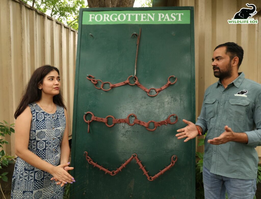 Sainee Raj visits Wildlife SOS