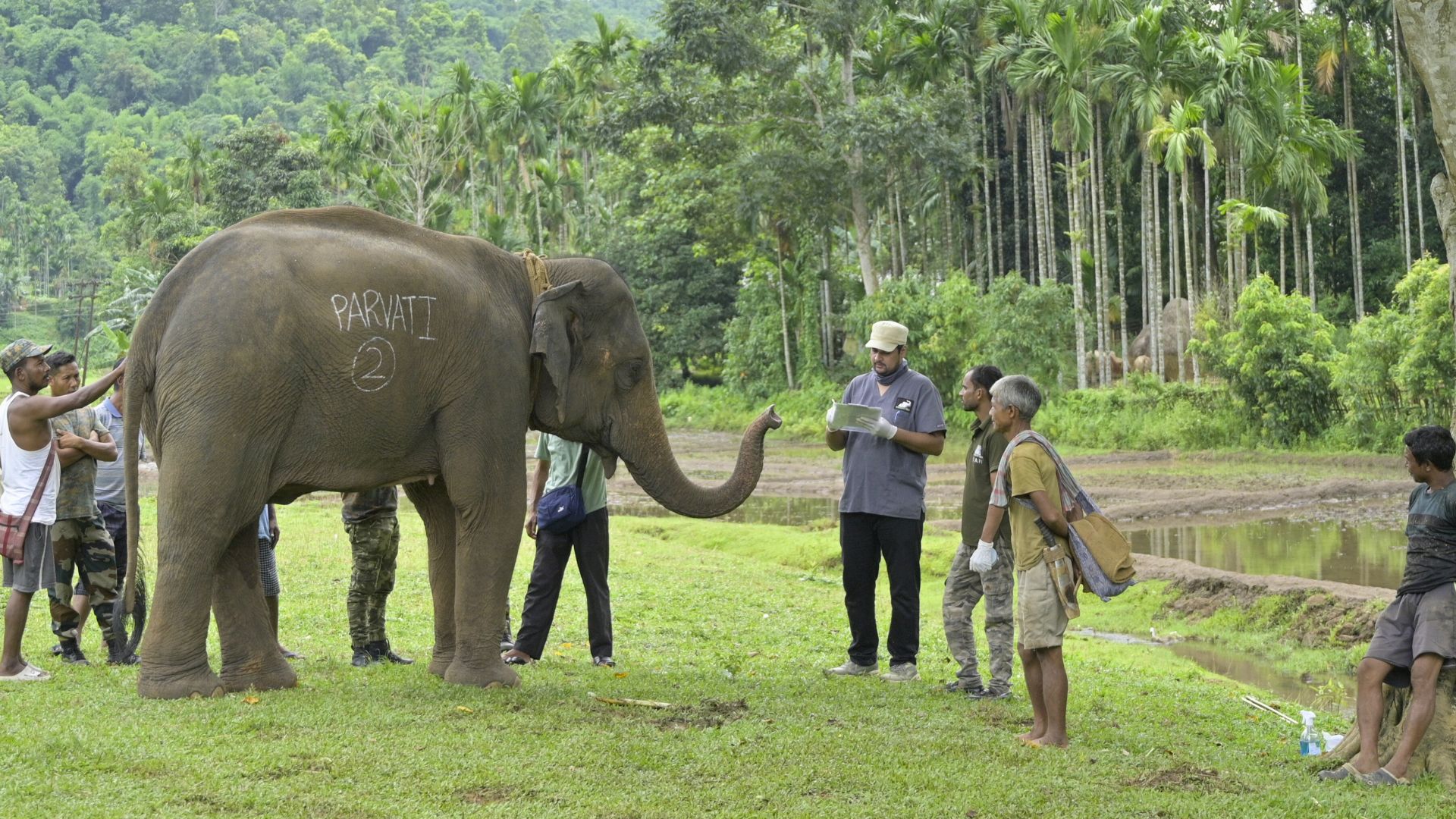 On the Road With Haathi Sewa: Caring For Assam & Meghalaya’s Elephants