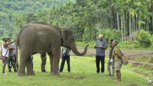On the Road With Haathi Sewa: Caring For Assam & Meghalaya’s Elephants