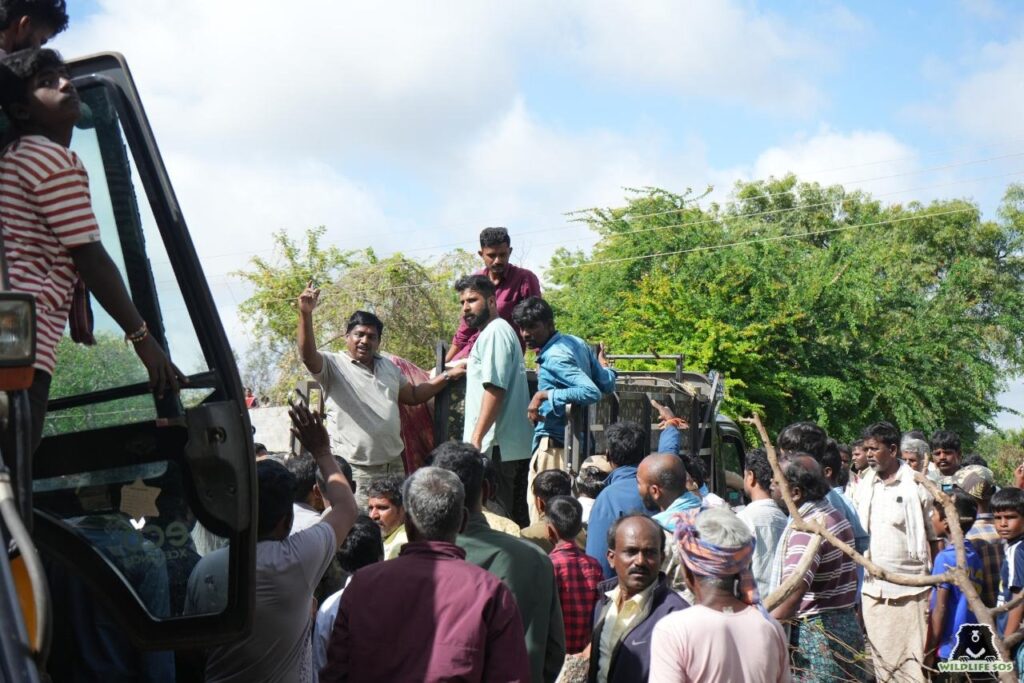 Glimpse from field rescue