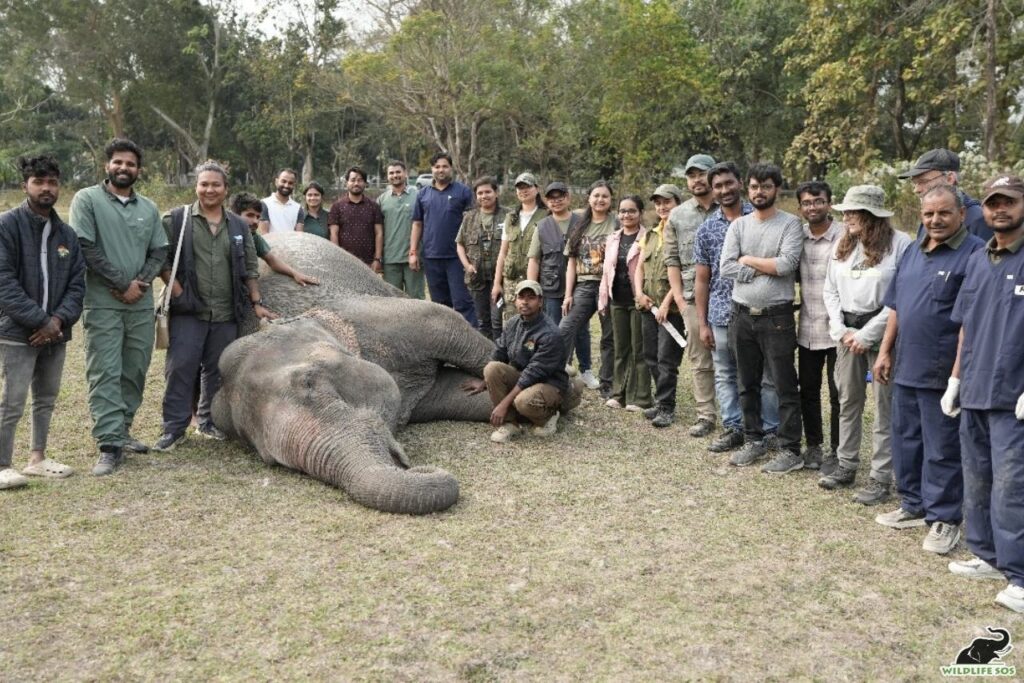 Workshop and awareness