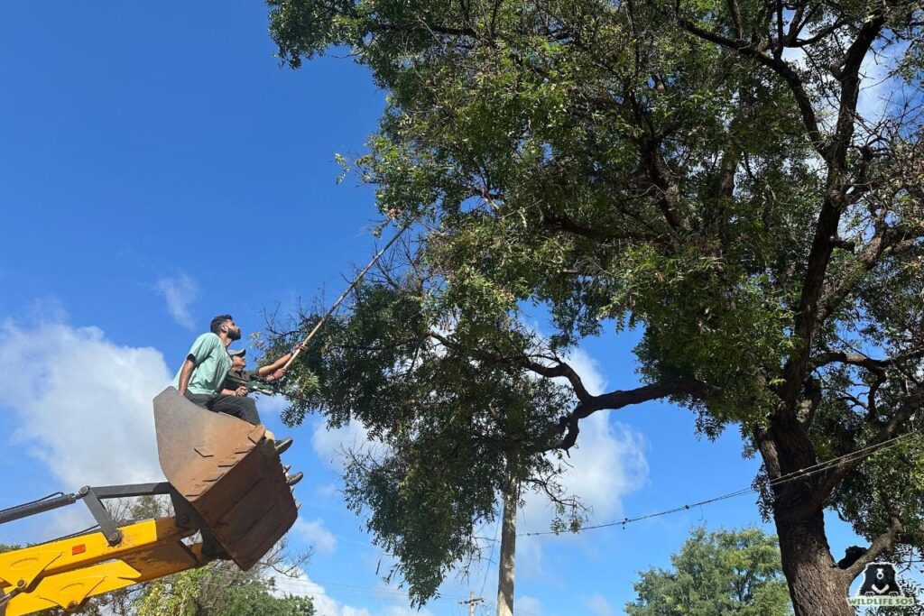 Dr. Arsh conducting a rescue