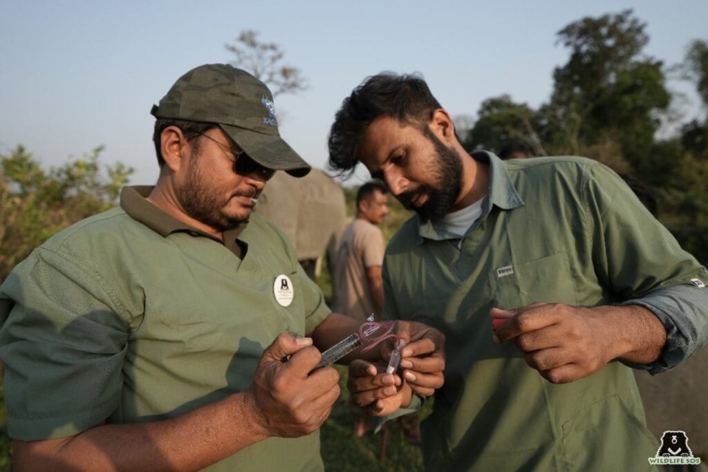 Dr. Arsh with Dr. Pramod