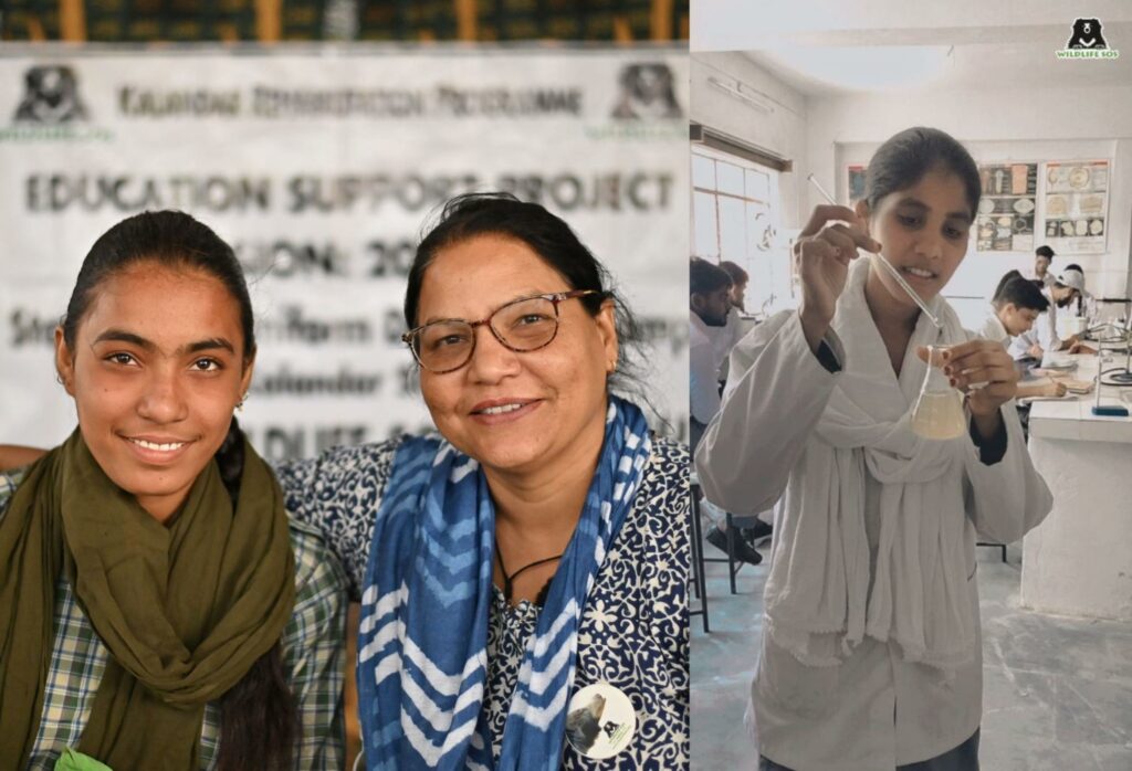 Education support Project