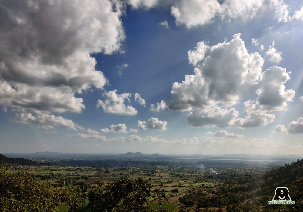 2404013_MLRC_Akash_lanscape_IMG_20191108_152313