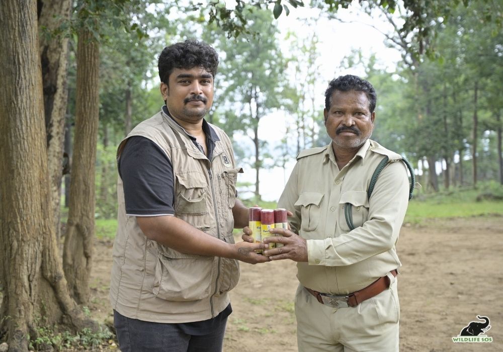 250928_MADHYA PRADESH_ATHARVA PACHARNE_ELEPHANT_SHARON_HEALTH ASSESMENT_HAATI SEVA PENCH TIGER RESERVE_56_Image 7